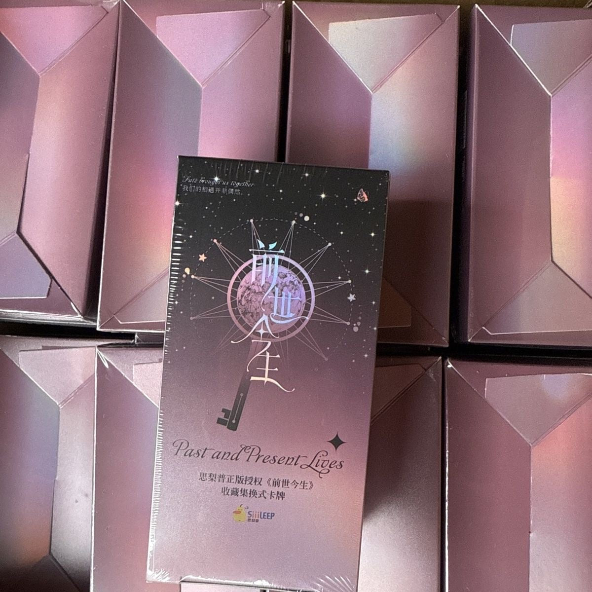 Original Artist Trading Card Box – “Past & Present” Premium Collectible Card Set (Full Box, Limited Edition)