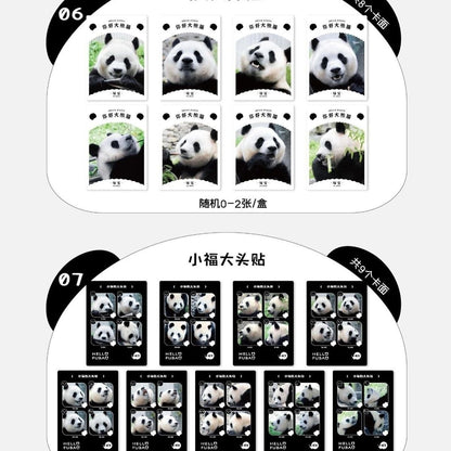 Cute Fantasy Pet Holo Collectible Cards – “Panda Treasure Adventure” Mystery Pack (Limited Edition)