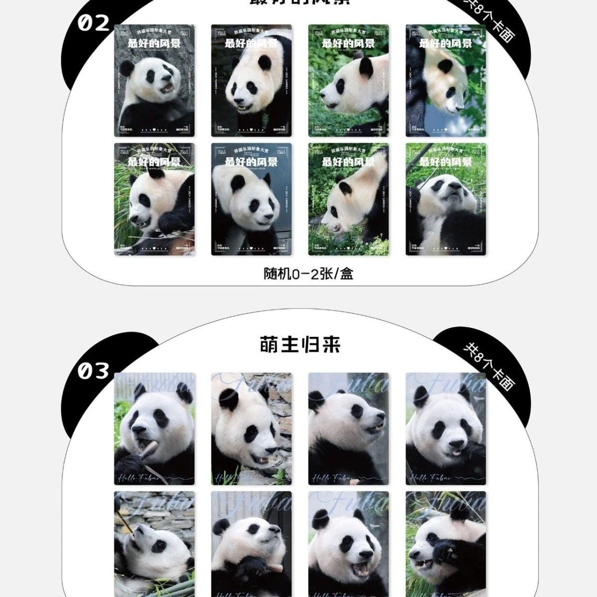 Cute Fantasy Pet Holo Collectible Cards – “Panda Treasure Adventure” Mystery Pack (Limited Edition)